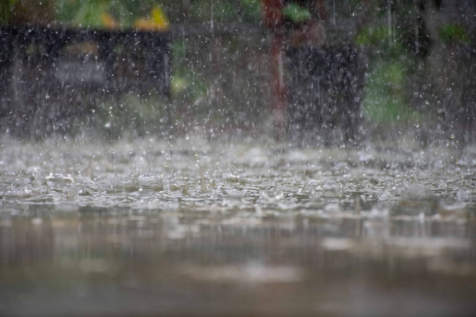 São Sebastião em Estado de Atenção
