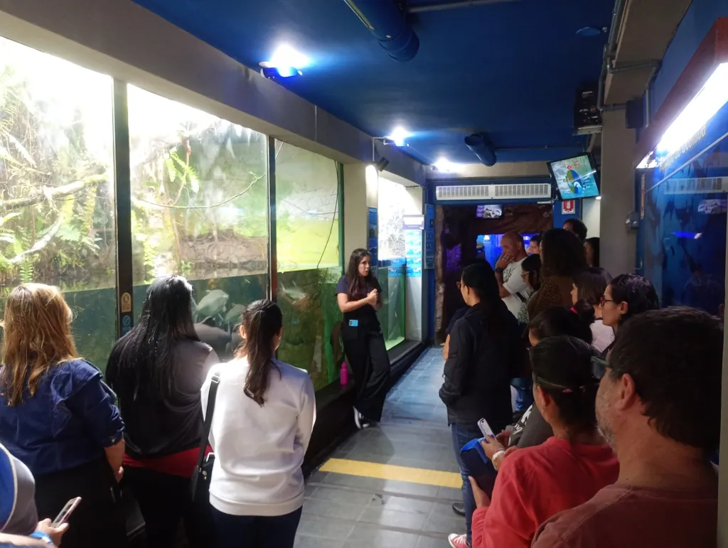 Aquário de Ubatuba lança formação gratuita para professores de educação ambiental