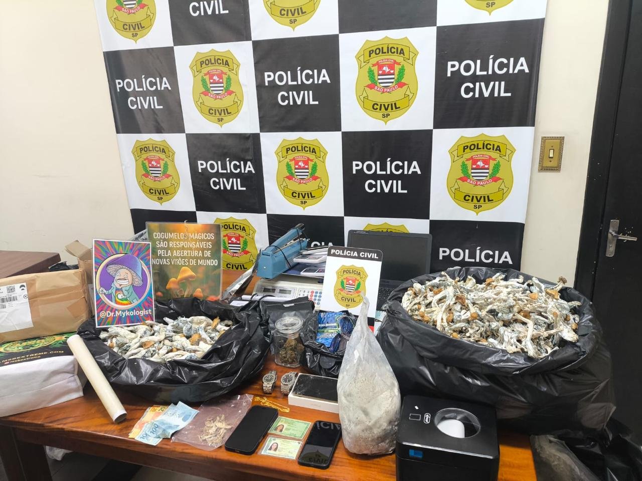 Polícia desmantela laboratório de cogumelos mágicos