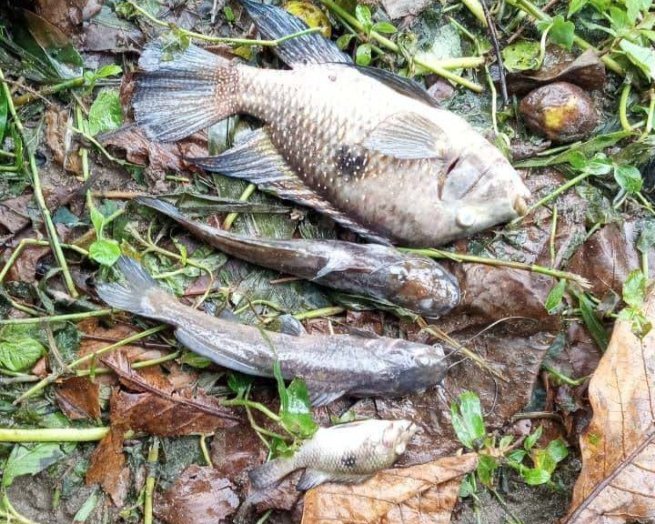 Sabesp é multada em R$ 100 mil