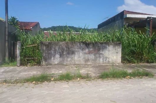 Prefeitura amplia limpeza urbana em Caraguatatuba