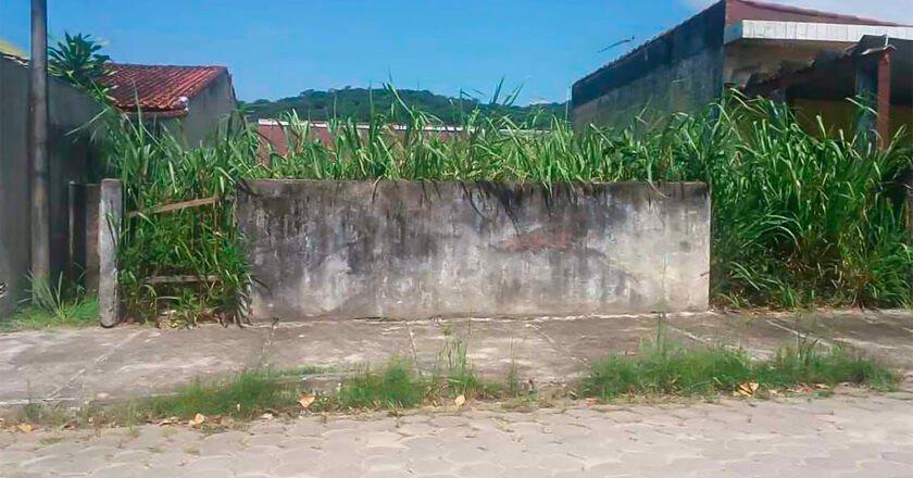 Caraguatatuba reforça limpeza urbana e cobra responsabilidade dos moradores