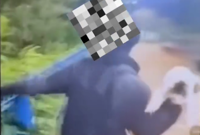 Gata arremessada no Rio Paraitinga é encontrada viva por policiais