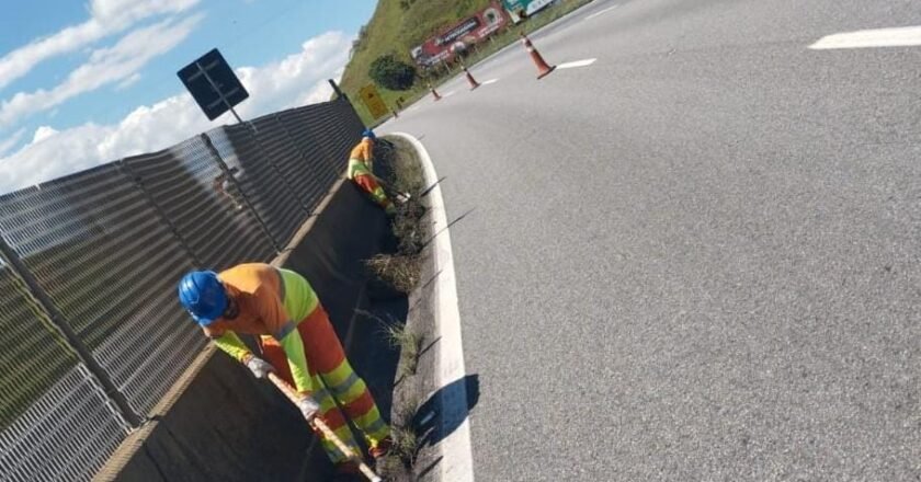Manutenção na Via Dutra: Capina e varrição em trechos do Vale do Paraíba