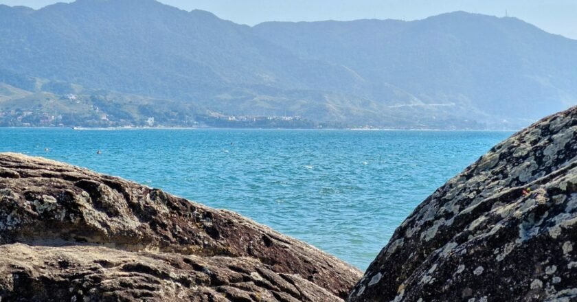 Projeto “Memórias de Armazém” – Linhas do cais (Parte II)