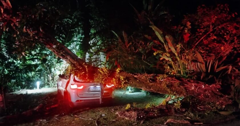 Árvore cai em veículo causando danos no automóvel