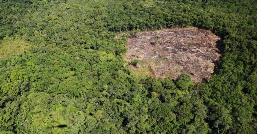 São Paulo amplia monitoramento ambiental por satélite