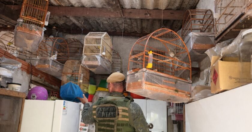 Morador de Ilhabela receba multa por manter animais silvestres sem autorização