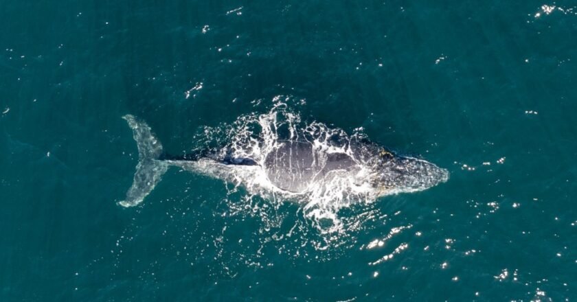 São Sebastião é destaque internacional e vira finalista em prêmio de turismo sustentável