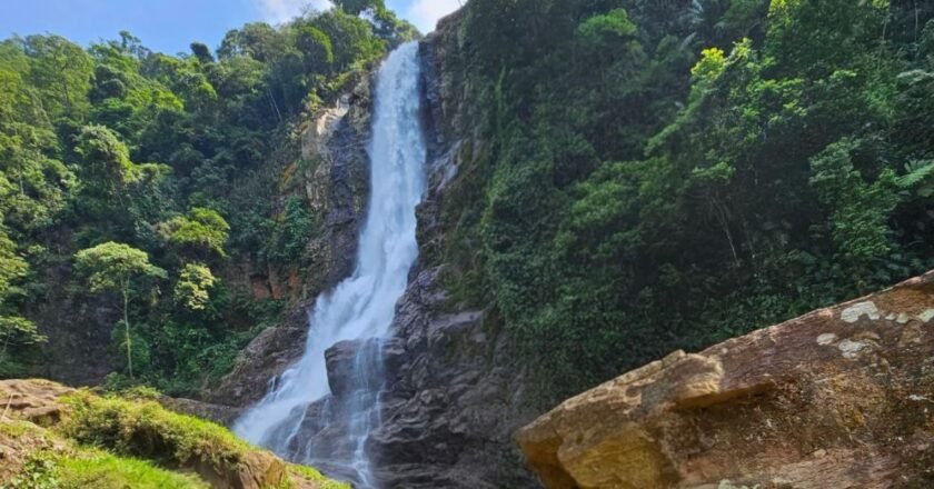 Cubatão é referência mundial em preservação ambiental