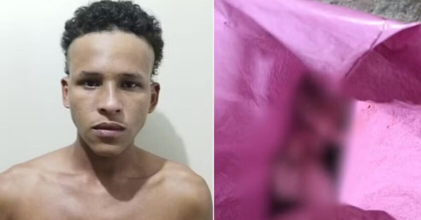 Homicídio de filhote de cachorro em São Vicente, SP