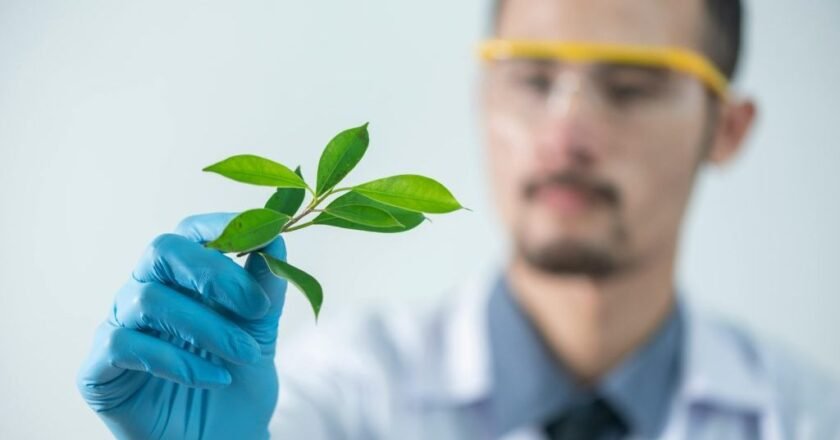 Instituto de Pesquisas Ambientais anuncia concurso com 98 vagas