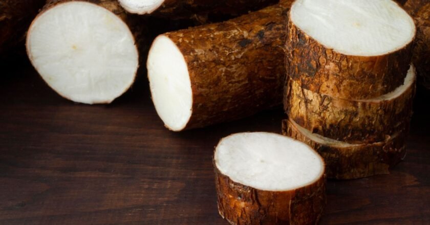O melhor jeito de consumir mandioca e garantir seus benefícios