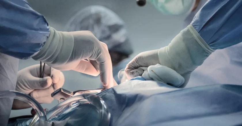 Vaticano autoriza xenotransplante com ressalvas éticas