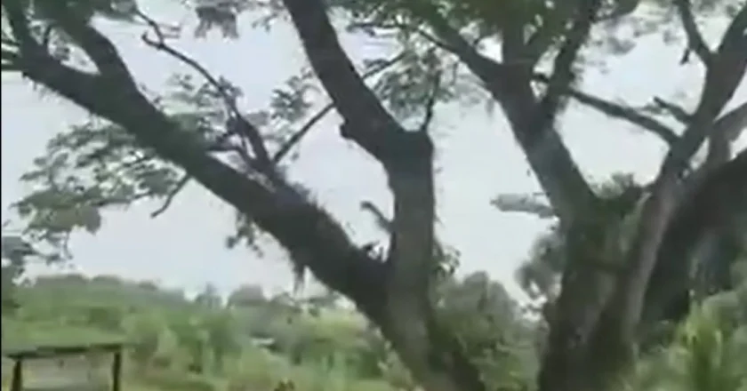 Avião militar cai na Colômbia após decolar, causando 66 mortes