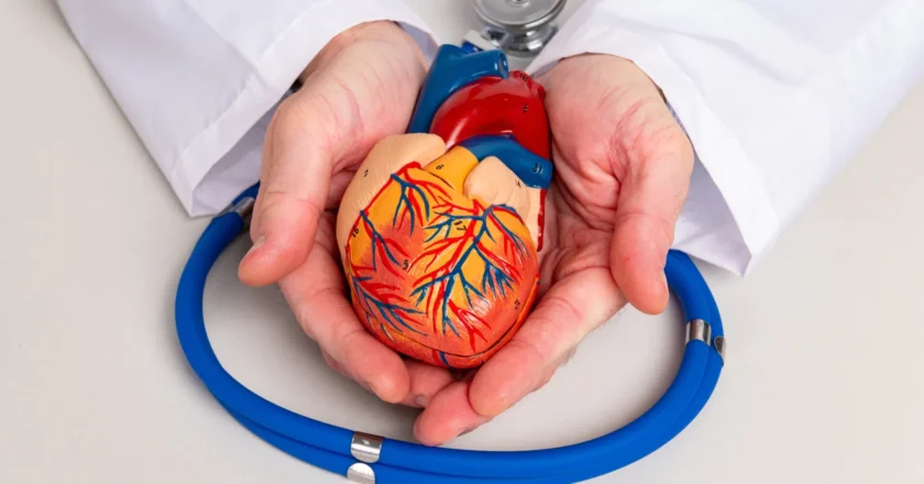 Proteínas saudáveis para a saúde cardiovascular