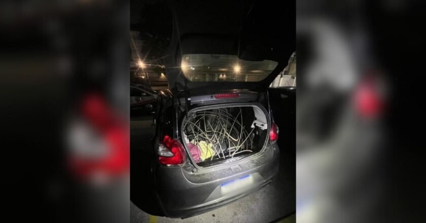 Câmeras de monitoramento auxiliam prisão de ladrões em Santos