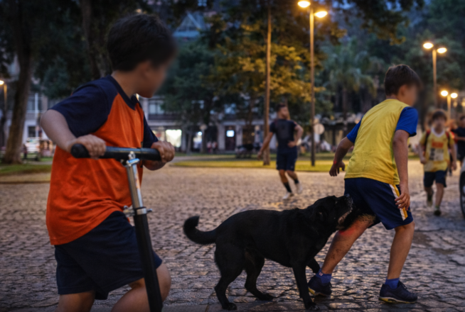 Ataques de cães em praça central levam a registros policiais