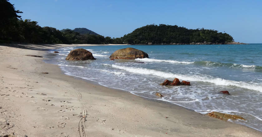 Litoral Norte de SP tem 10 praias com qualidade baixa