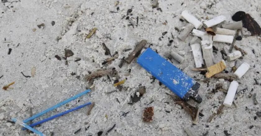 Bitucas de cigarro dominam praias do Brasil; veja as 4 mais poluídas