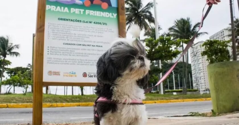São Vicente terá parque pet na orla da praia do Itararé; saiba detalhes do projeto