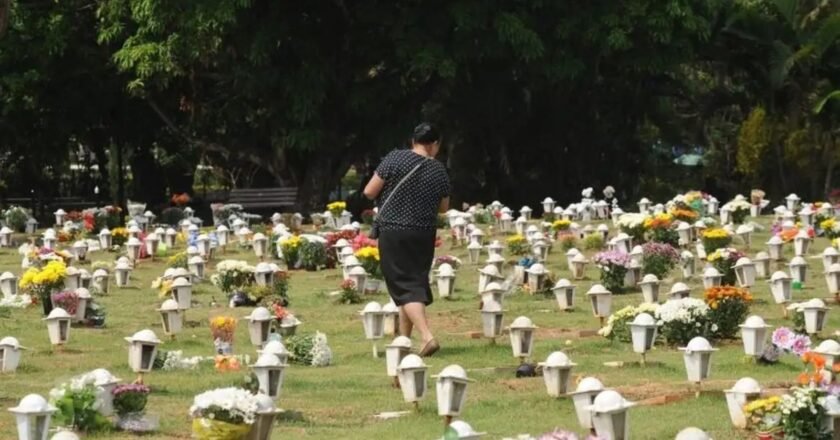 Nova lei em Santos libera enterro de pets em cemitérios; veja regras