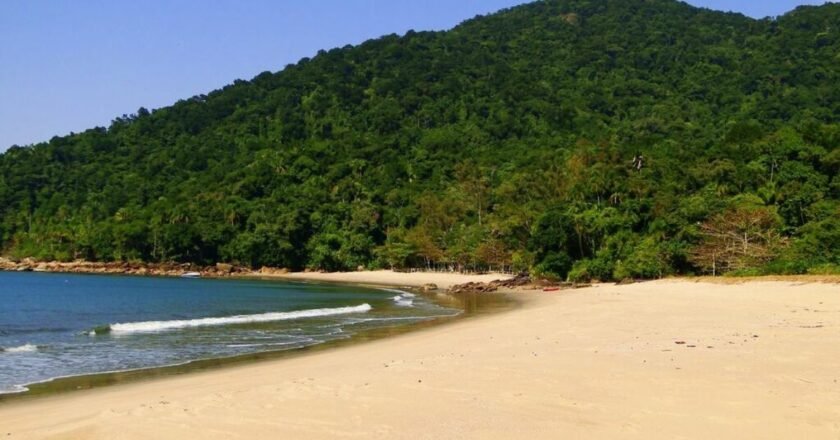 Praia do Camburi: praia de ondas fortes no Guarujá