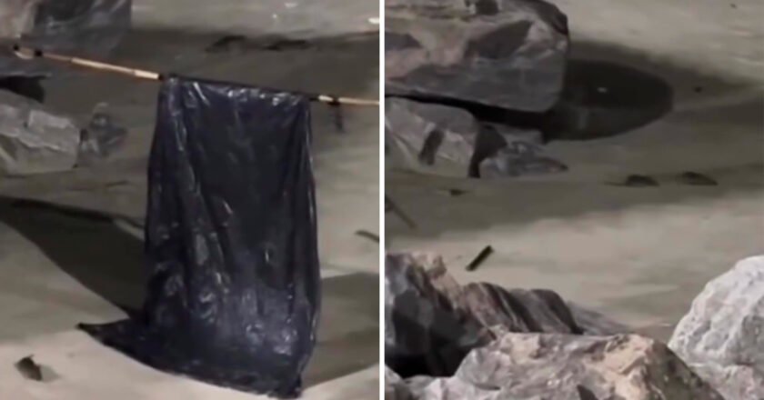 Mongaguá estuda retirar pedras da orla da praia após vídeos de ratos