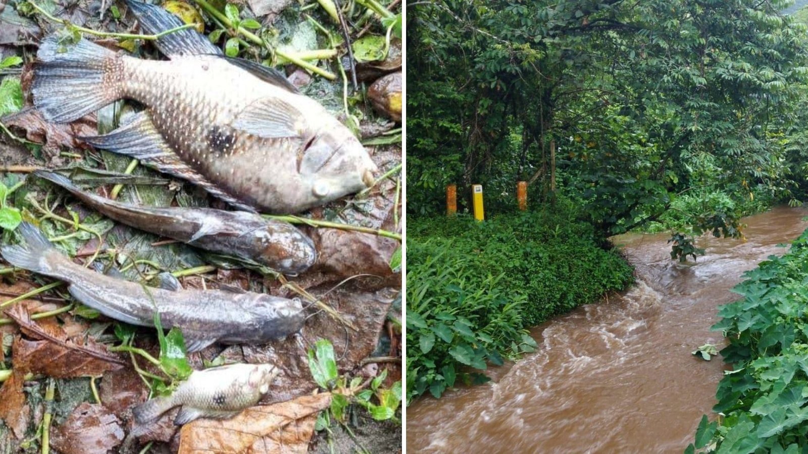 Sabesp é multada em R$ 100 mil