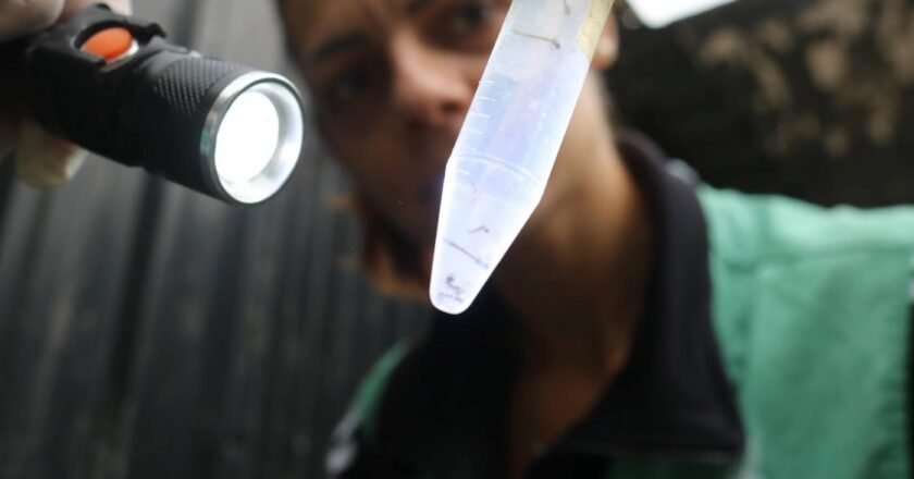 Santos executa operação de controle ao Aedes aegypti