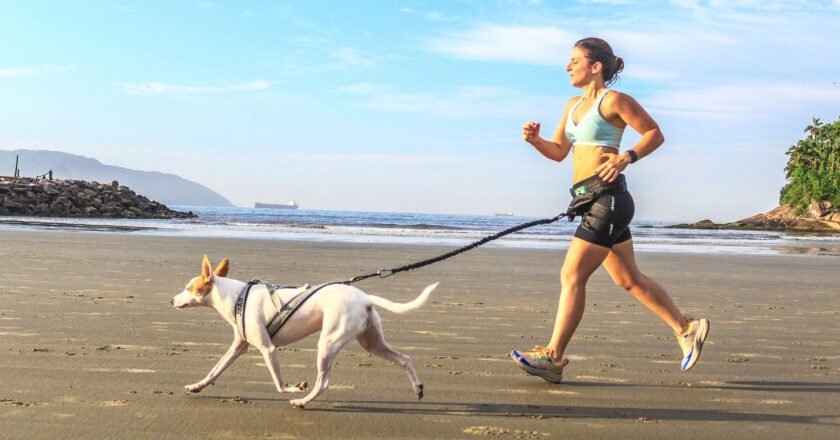 Corrida com cães oficial da Baixada Santista em abril