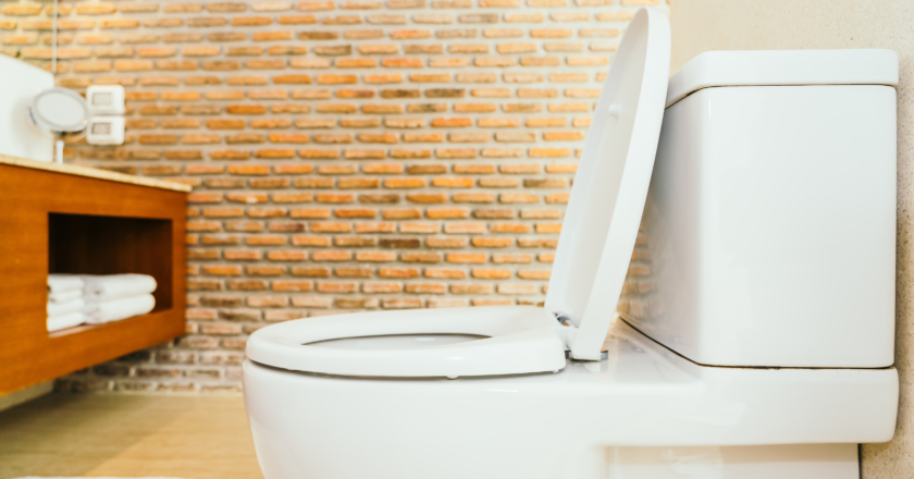 Nova invenção canadense pode aposentar o vaso sanitário como conhecemos