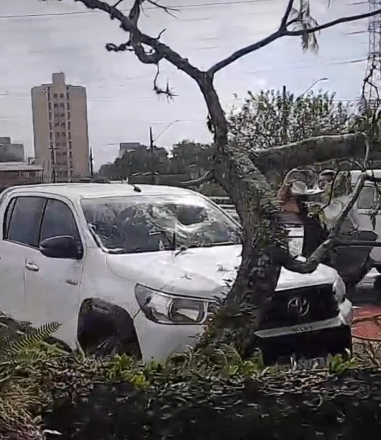 Granizo, alagamentos e quedas de árvores em São José dos Campos durante chuva desta quinta-feira (02)