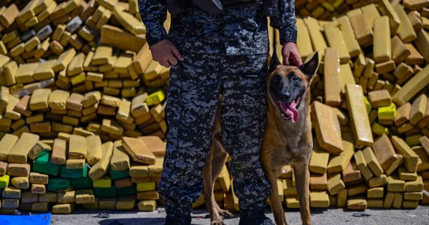 Hulk, cão de malinois, descobre bunker com 48 toneladas de maconha