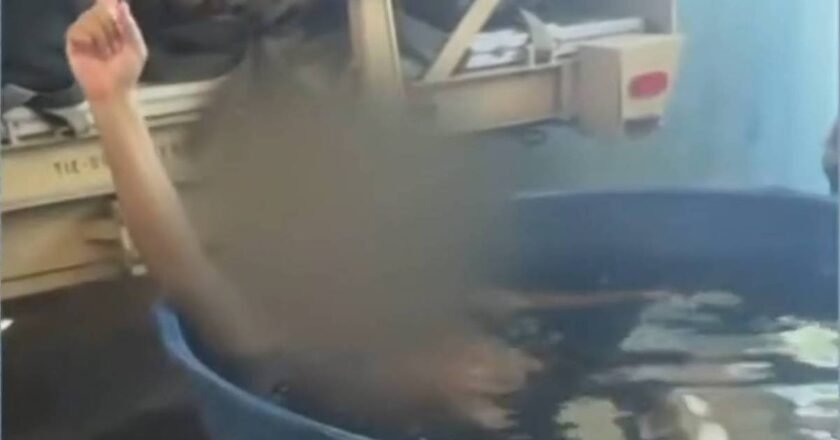Hospital de Campanha Desativado Virou Local de Churrasco no RJ