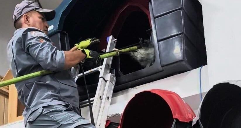 Gambá invade estabelecimento comercial em Ubatuba, gerando pânico