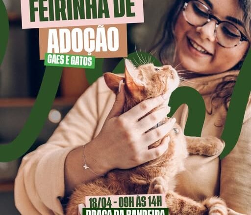 Caçapava Recebe Feirinha de Adoção de Cães e Gatos