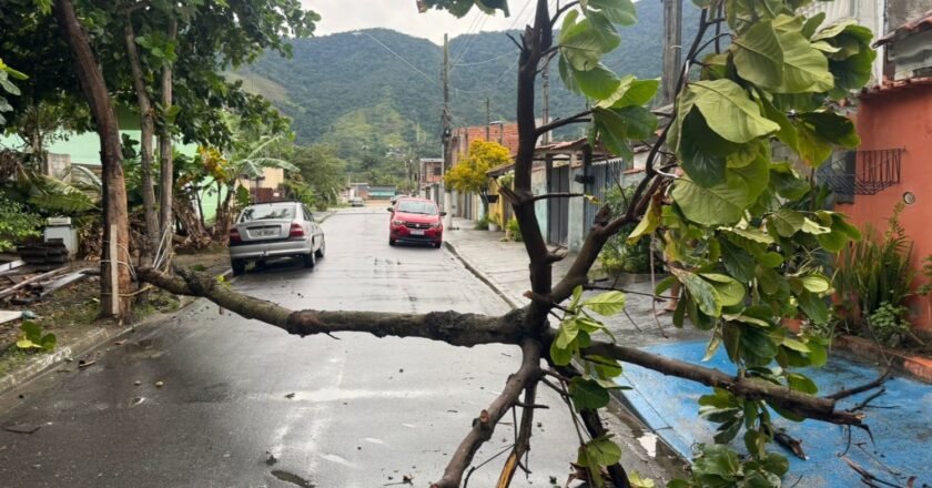 Vento forte atinge São Sebastião