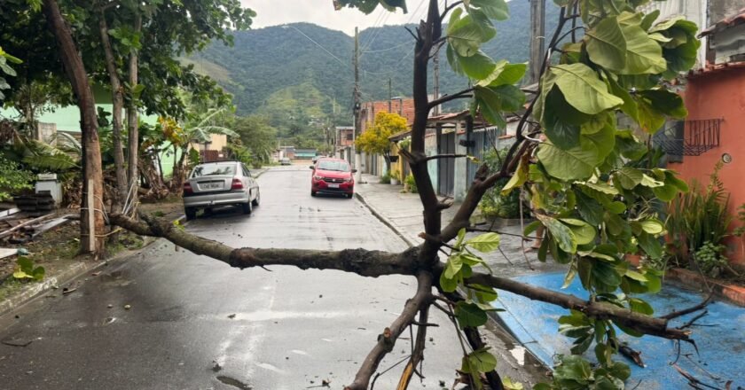 Rajadas de vento mobilizam equipes na madrugada deste sábado