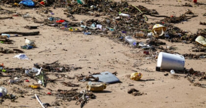 Litoral norte tem 10 praias impróprias para banho