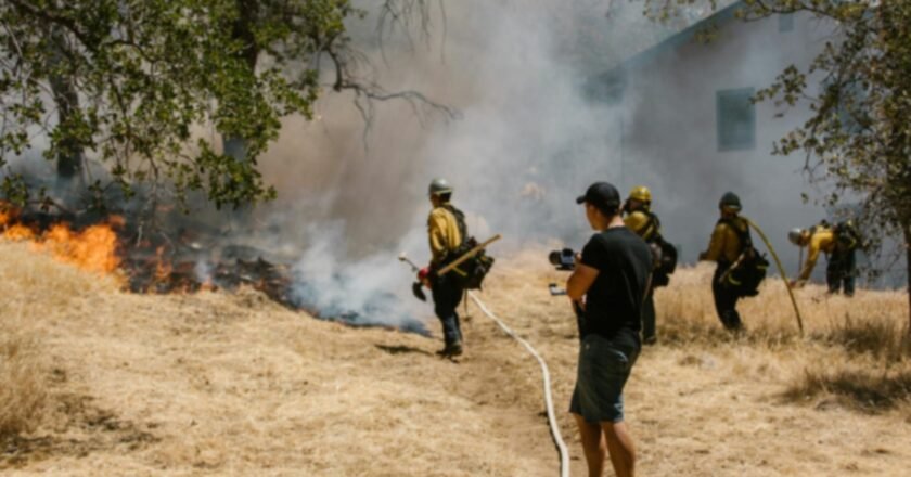 Governo de SP distribui guias sobre incêndios florestais