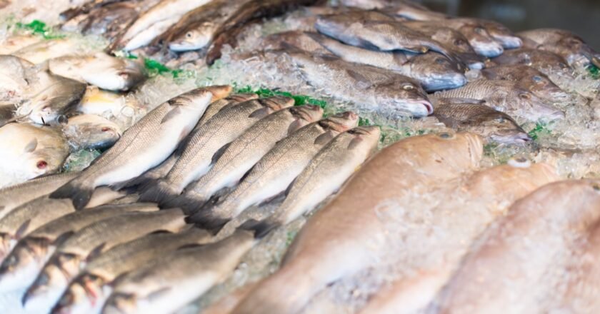 Como identificar peixe fresco? Especialistas dão dicas para não errar na compra