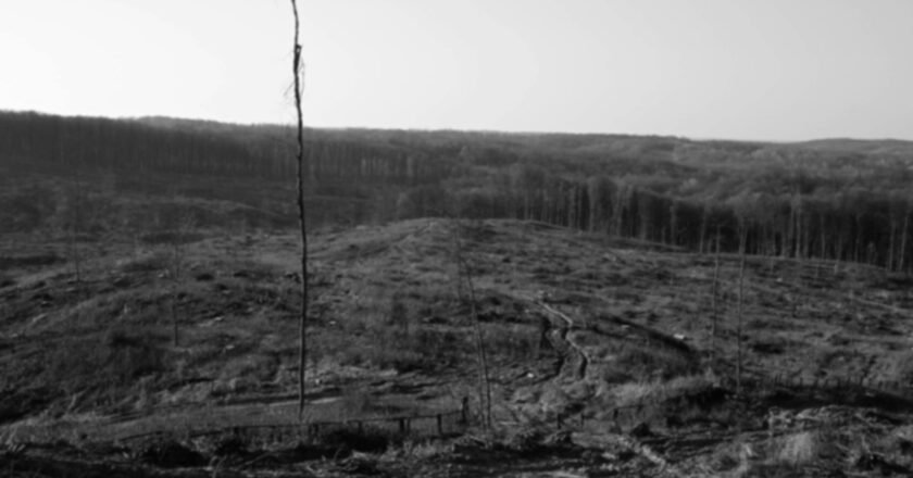 Prefeitura de São Sebastião apreende materiais em área