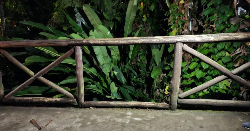 Acidente em ponte de madeira em Ilhabela expõe risco