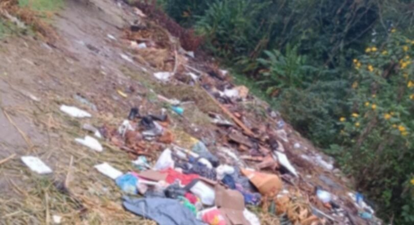 Moradores de Caraguatatuba cobram providências sobre abandono de rua