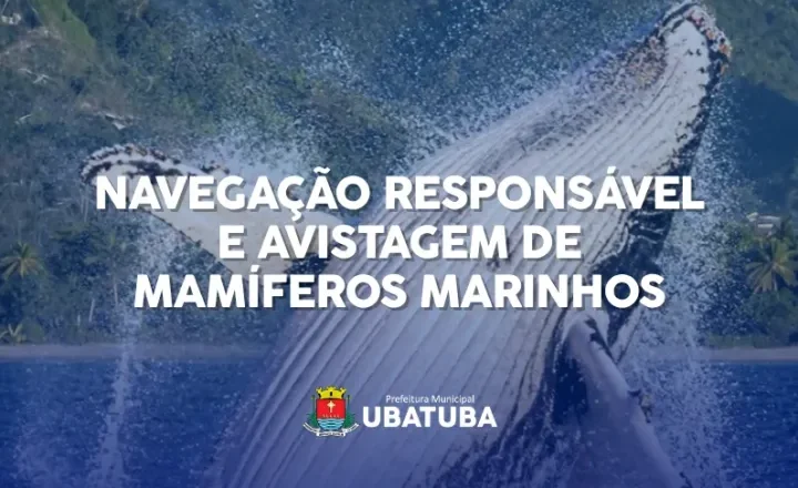 Ubatuba discute regras de observação de cetáceos