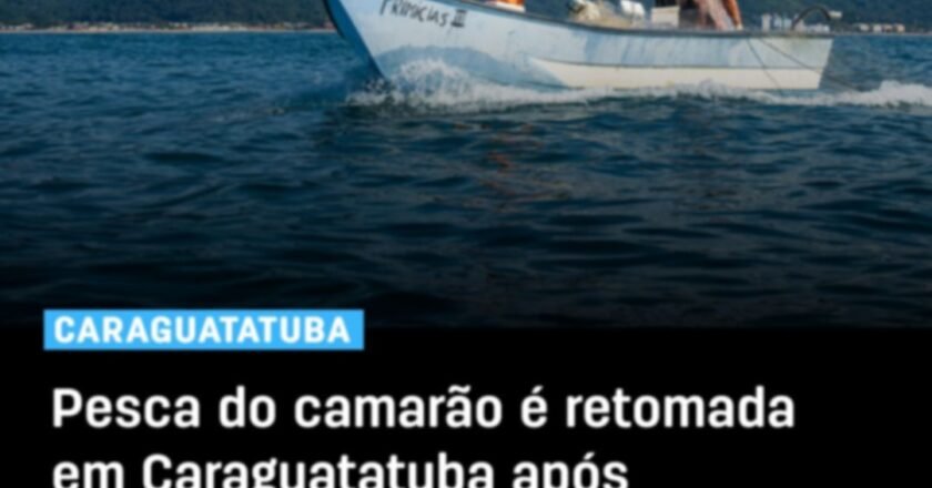Pesca do camarão é liberada em Caraguatatuba