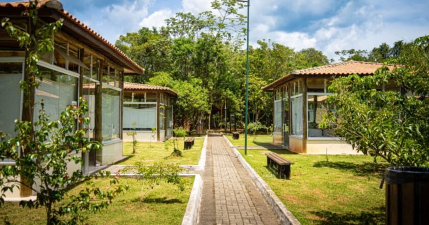 Caraguatatuba promove ações de conscientização ambiental