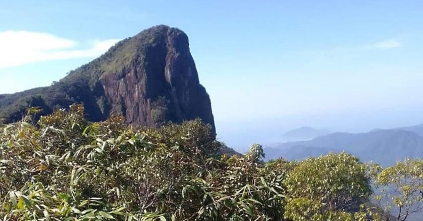 Trilha do Pico do Corcovado reabre em Ubatuba