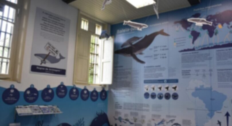Ilhabela inaugura Sala das Baleias no Museu Náutico